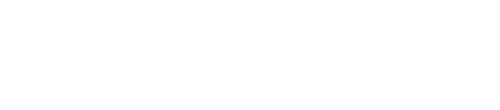 Logo Soltronic