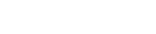 Logo Soltronic